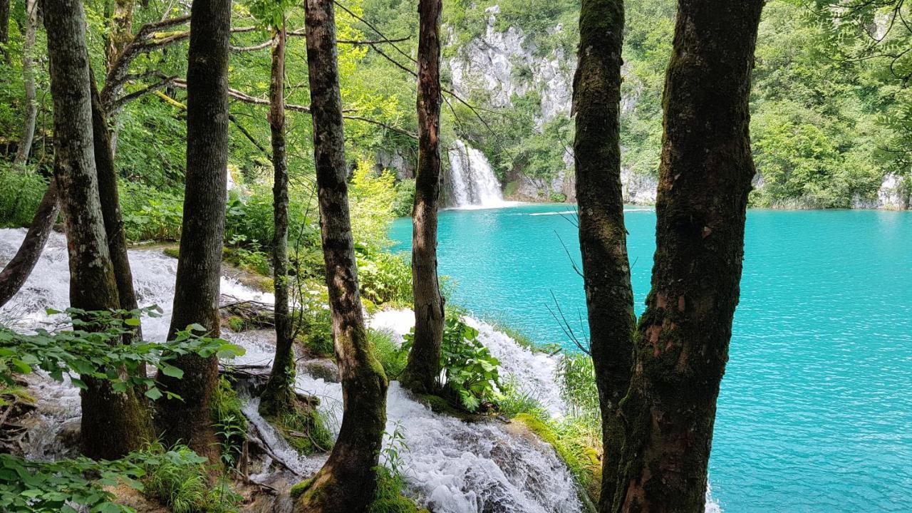 B&B Plitvica Villa Prica Plitvicka Jezera Ngoại thất bức ảnh
