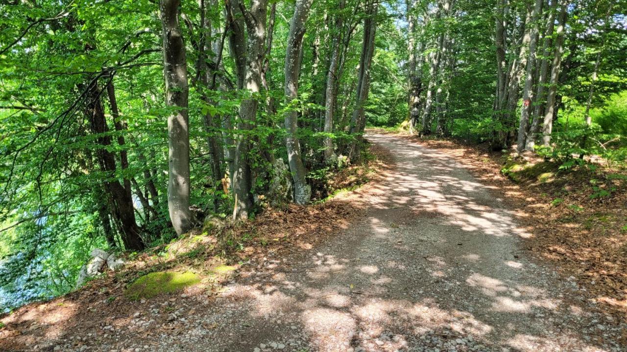 B&B Plitvica Villa Prica Plitvicka Jezera Ngoại thất bức ảnh